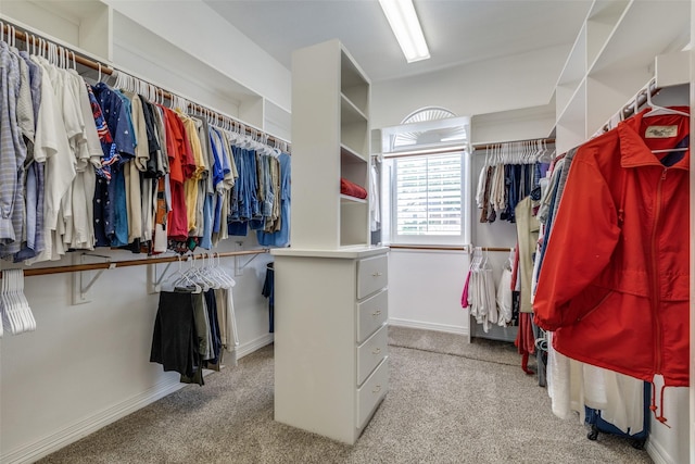 spacious closet with carpet flooring