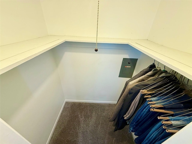 spacious closet with electric panel and carpet flooring