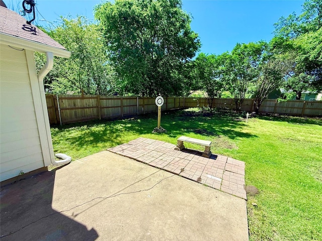 view of yard featuring a fenced backyard and a patio area