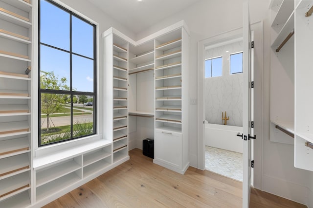 13696 Declan St, Frisco, TX 75033 - walk in closet featuring light wood finished floors