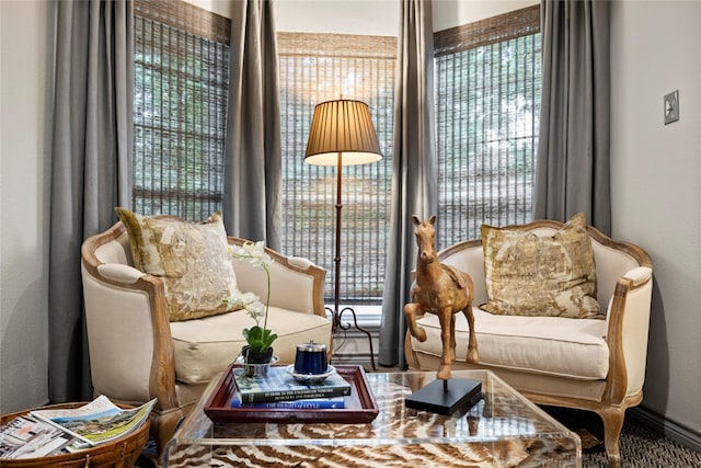 3517 Woods Blvd, Tyler, TX 75707 - view of living area