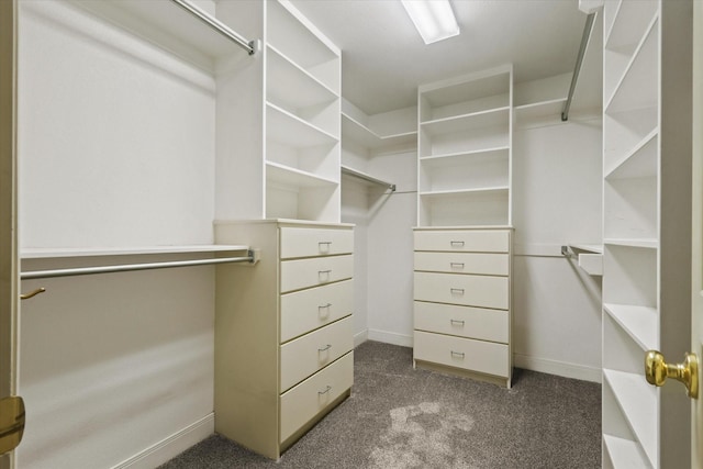 2020 Sauls Ln, Denton, TX 76209 - walk in closet featuring dark carpet