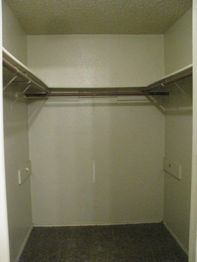 1431 Windmill Ln, Mesquite, TX 75149 - view of spacious closet
