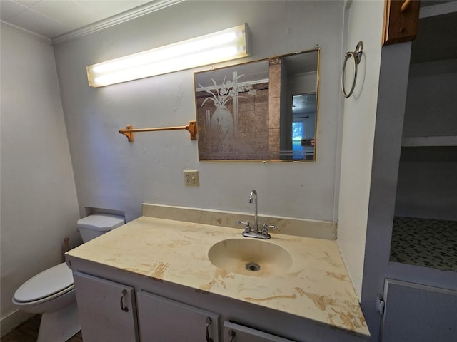 bathroom with vanity, ornamental molding, and toilet