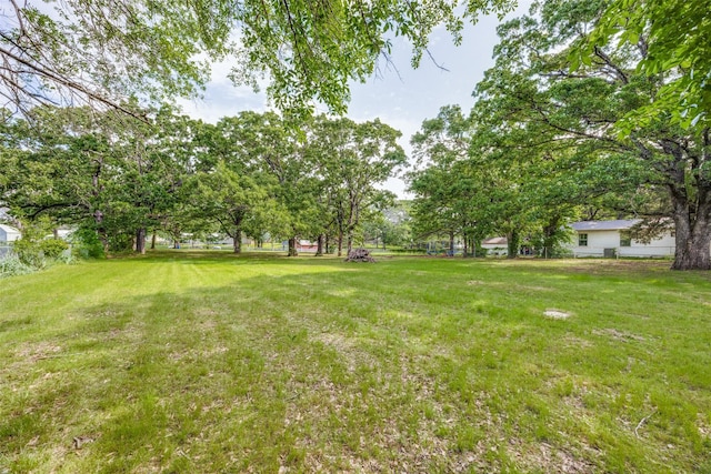 1509 Mitchell Dr, Bonham, TX 75418 - view of yard