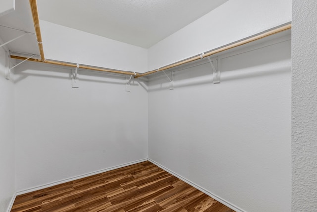 spacious closet with dark wood-style floors