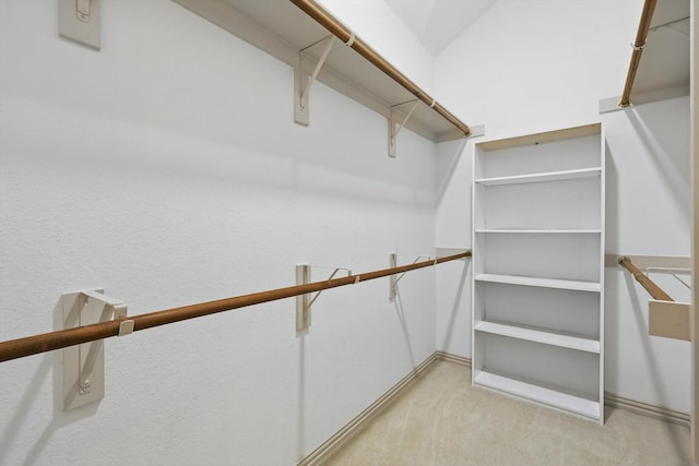 411 Deer Brooke Dr, Allen, TX 75002 - walk in closet with light carpet