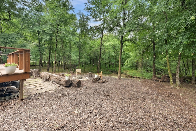 13533 Fm-1567 W, Brashear, TX 75433 - view of yard