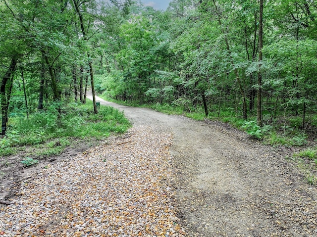 13533 Fm-1567 W, Brashear, TX 75433 - view of street featuring a wooded view