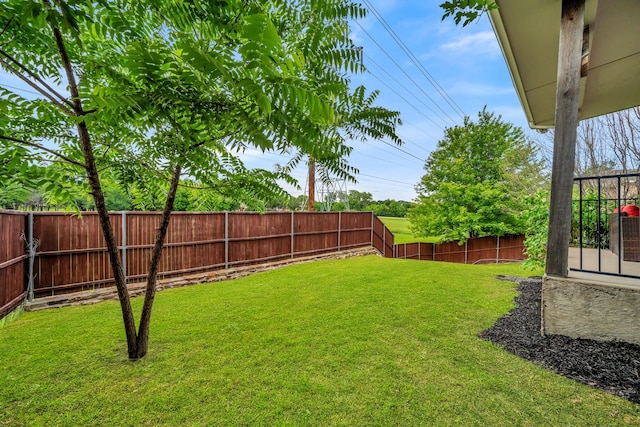 6224 Madrone Ct, Plano, TX 75074 - view of yard