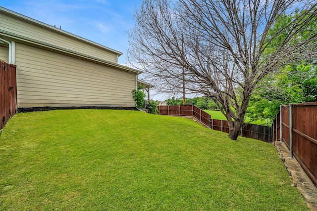 6224 Madrone Ct, Plano, TX 75074 - view of yard