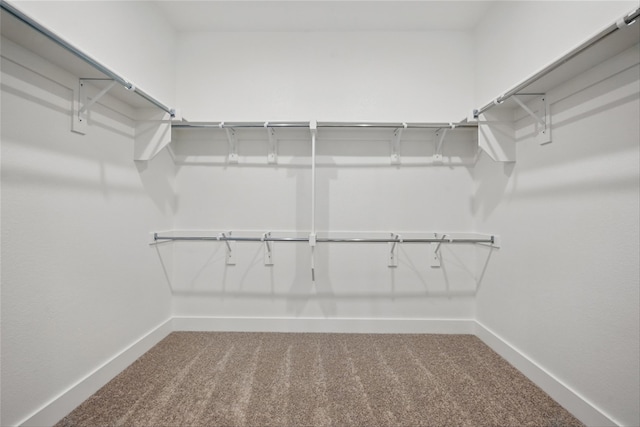 spacious closet with carpet floors