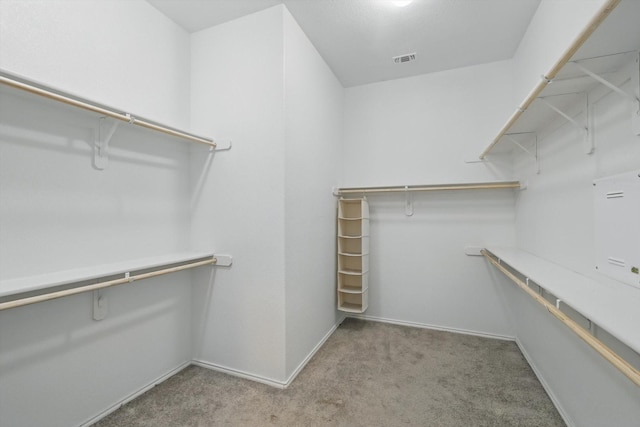 walk in closet featuring carpet and visible vents