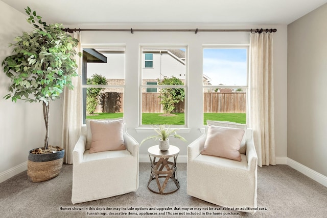 living area with baseboards and carpet