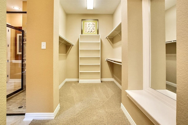 10853 Dixon Branch Dr, Dallas, TX 75218 - spacious closet with carpet flooring