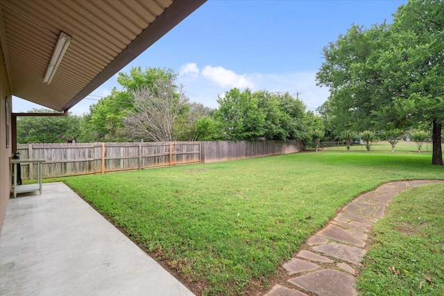 view of yard featuring a fenced backyard and a patio area