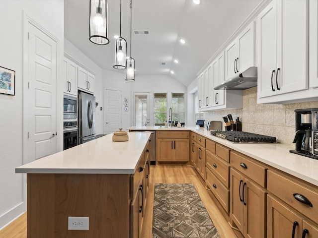 1509 Horizon Way, Northlake, TX 76247 - kitchen featuring stainless steel appliances, light wood-type flooring, under cabinet range hood, and vaulted ceiling
