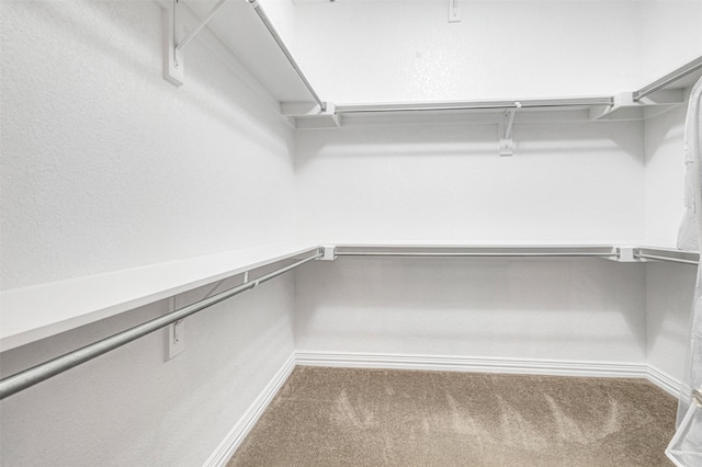 4600 Winter Park Dr, Richardson, TX 75082 - walk in closet with carpet flooring