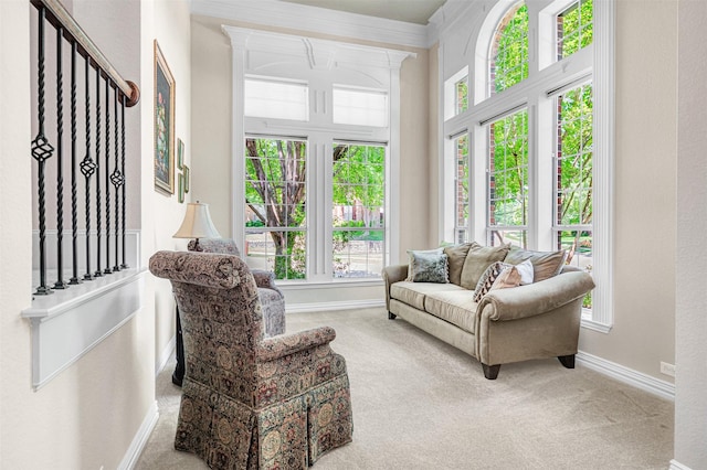 4600 Winter Park Dr, Richardson, TX 75082 - living area featuring carpet, plenty of natural light, and baseboards