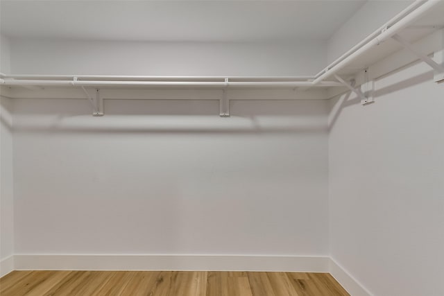 807 Florence St, Mckinney, TX 75069 - walk in closet featuring light wood-style flooring
