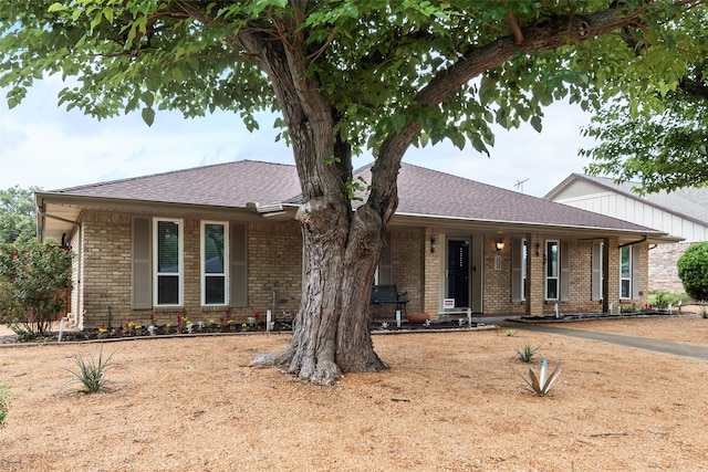 ranch-style house featuring brick siding and roof with shingles