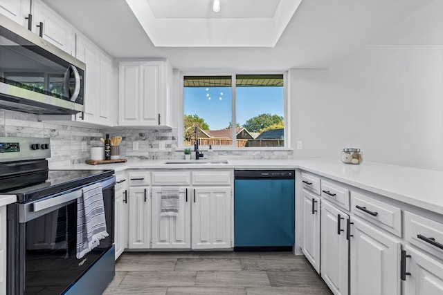 kitchen with a tray ceiling, a sink, white cabinetry, light countertops, and appliances with stainless steel finishes
