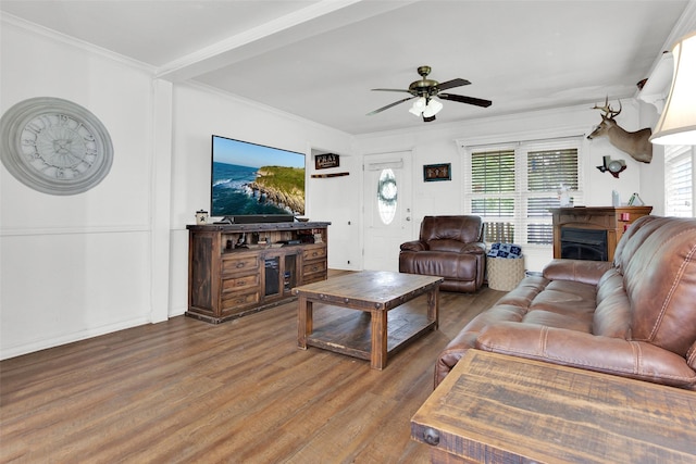 7634 Preston Rd, Denison, TX 75020 - living area featuring wood finished floors, ceiling fan, a fireplace, and crown molding
