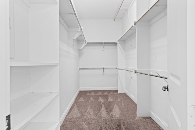 2507 Lavaca Dr, Euless, TX 76039 - spacious closet featuring carpet