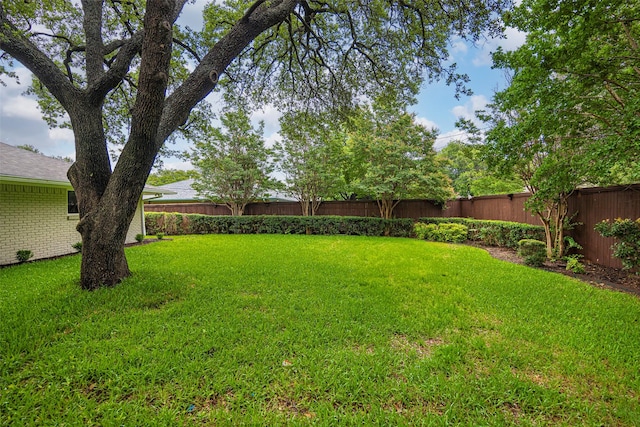 4508 Thunder Rd, Dallas, TX 75244 - view of yard