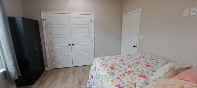 12890 County Road 463, Tyler, TX 75706 - bedroom featuring a closet and light wood-style flooring