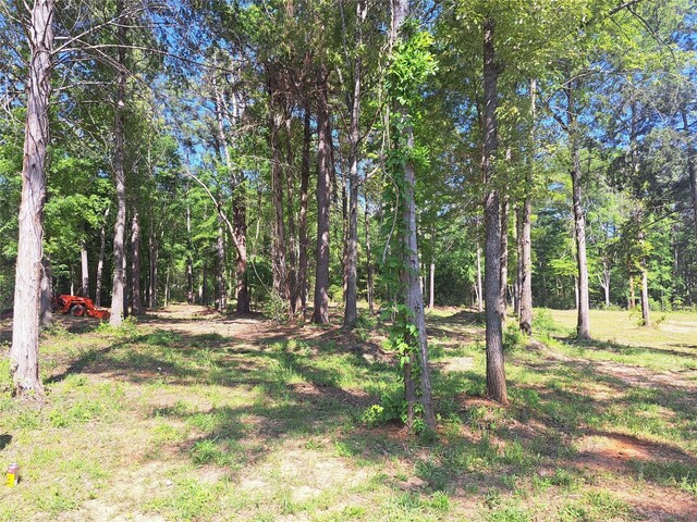 12890 County Road 463, Tyler, TX 75706 - view of yard