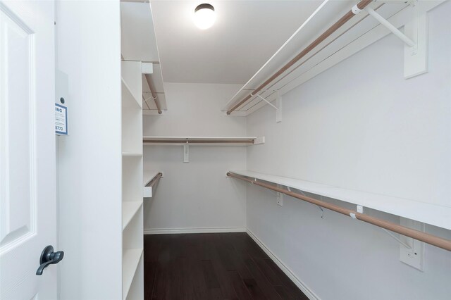 spacious closet with dark wood-style flooring