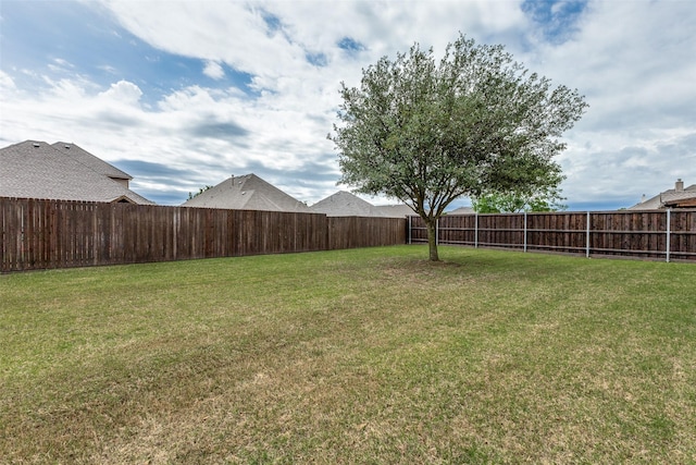503 Olive Trl, Forney, TX 75126 - view of yard