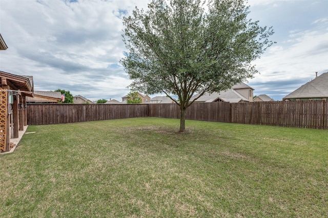 503 Olive Trl, Forney, TX 75126 - view of yard