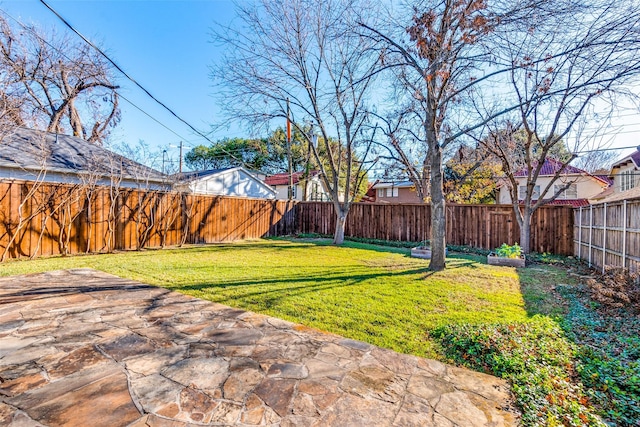 view of yard featuring a fenced backyard and a patio area