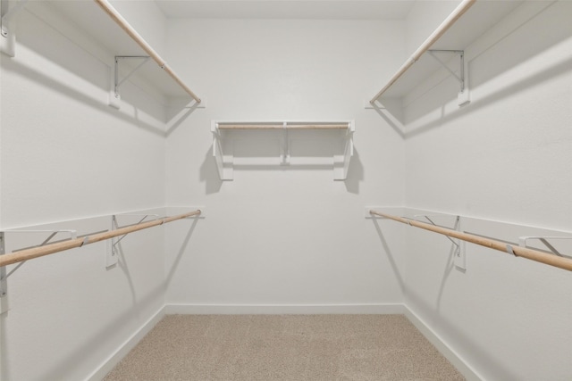spacious closet with carpet floors