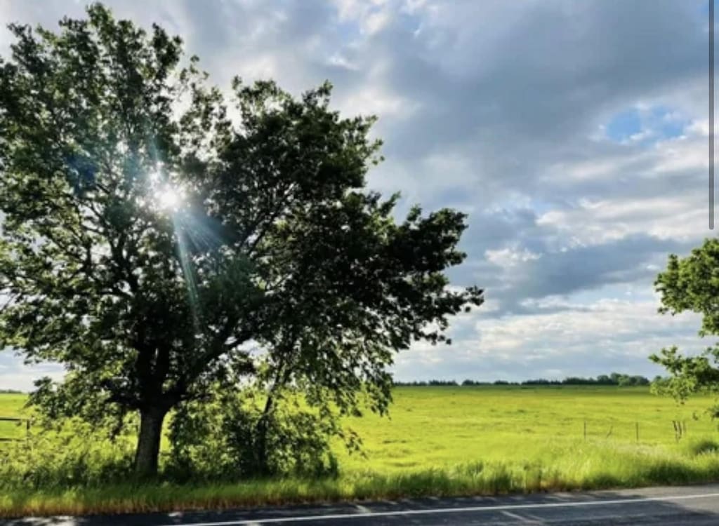 6797 Farm Rd Unit 1497, Paris, TX 75462