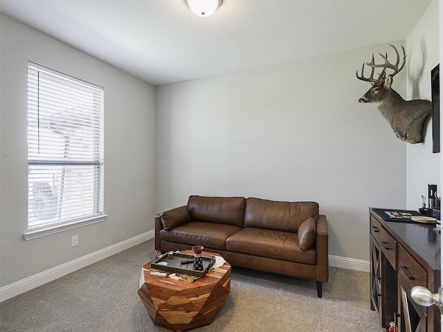 1455 Radecke Rd, Krum, TX 76249 - living room featuring plenty of natural light, light colored carpet, and baseboards