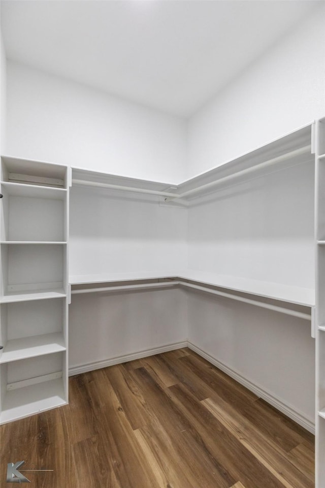 walk in closet with dark wood-style flooring