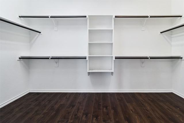 1112 Crest Ridge Dr, Glenn Heights, TX 75154 - walk in closet with wood finished floors