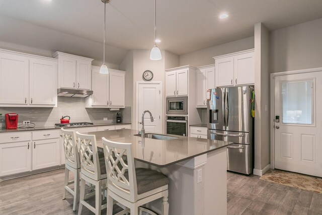 1725 Bellatrix Dr, Haslet, TX 76052 - kitchen with under cabinet range hood, light wood finished floors, a sink, decorative backsplash, and appliances with stainless steel finishes