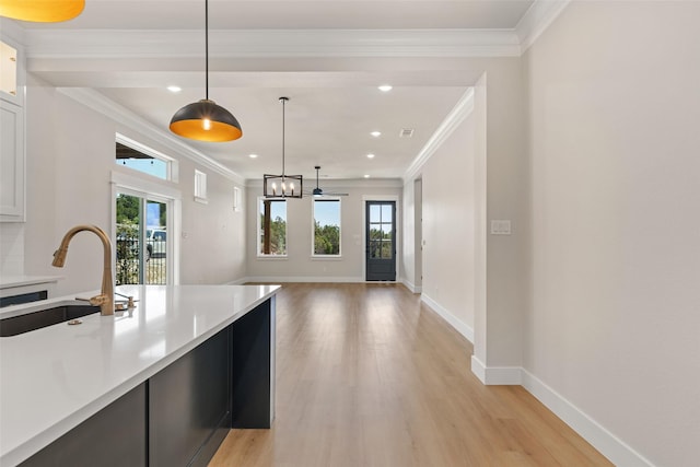 kitchen with light countertops, light wood-style flooring, a healthy amount of sunlight, and a sink