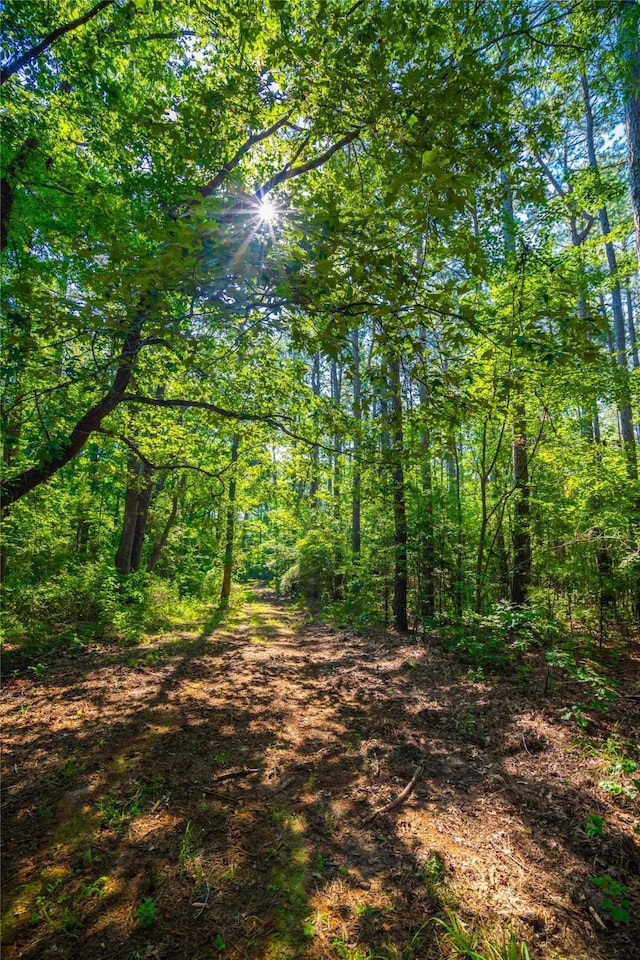 0 State Highway 8, Douglassville, TX 75560