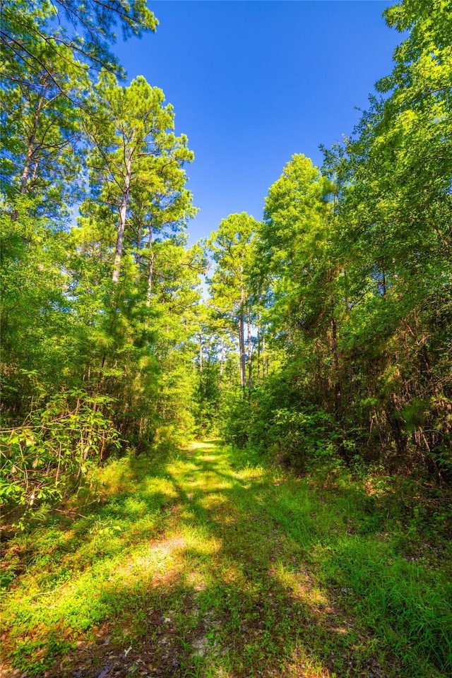 0 State Highway 8, Douglassville, TX 75560