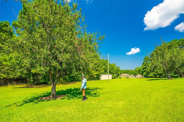 0 State Highway 8, Douglassville, TX 75560