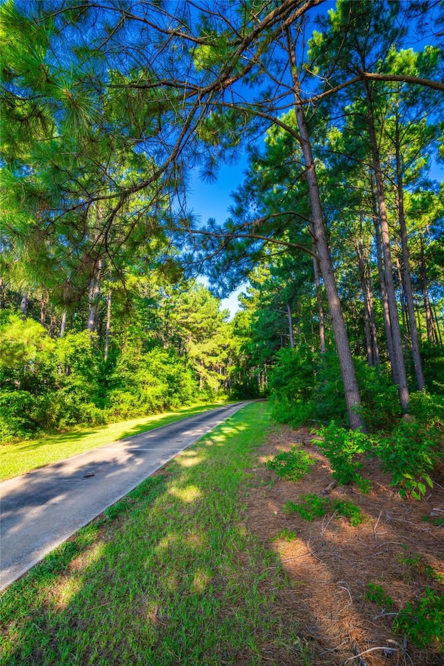 0 State Highway 8, Douglassville, TX 75560