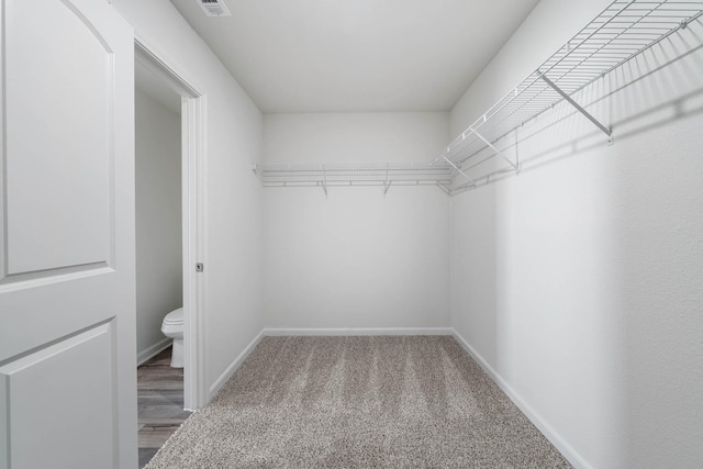 walk in closet with visible vents and carpet floors