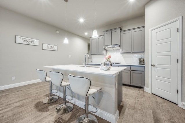 2100 Blackcap St, Denton, TX 76205 - kitchen featuring light wood-style flooring, a kitchen island with sink, gray cabinetry, and a sink