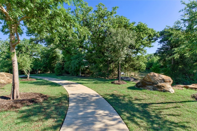 9415 Royal Forest Dr, Oak Point, TX 75068 - view of community with a yard