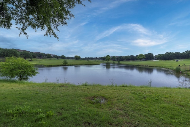 3528 Clubgate Dr, Fort Worth, TX 76137 - property view of water